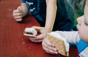 Youth Obesity Rates May Be Unaffected By Income Increases
